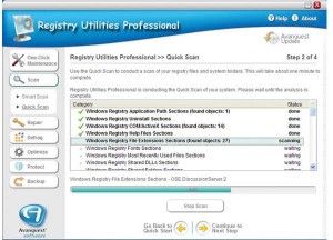 Download Registry Utilities Professional (1)